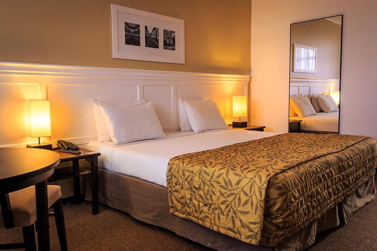 Double or Twin Room,397358493:JPEG